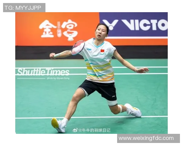 武汉羽毛球队技术表现分析与联赛成绩的深度解读 武汉羽毛球队技术表现分析与联赛成绩的深度解读