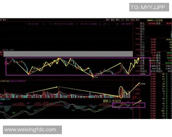 赛后复盘:广州排球队与西安排球队技术对抗的深度分析与启示 赛后复盘:广州排球队与西安排球队技术对抗的深度分析与启示
