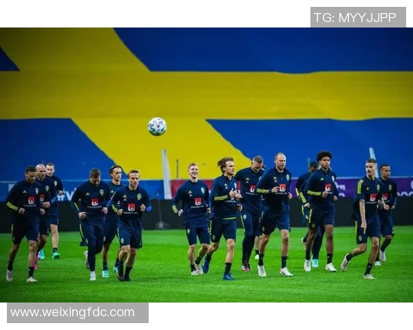 重庆足球队在欧锦赛中的默契配合与战术分析探讨