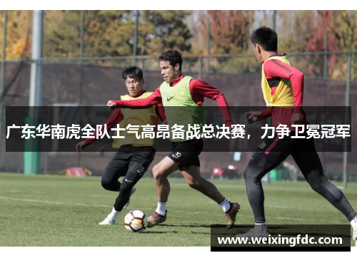 广东华南虎全队士气高昂备战总决赛，力争卫冕冠军