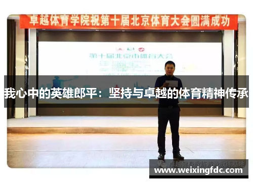 我心中的英雄郎平：坚持与卓越的体育精神传承