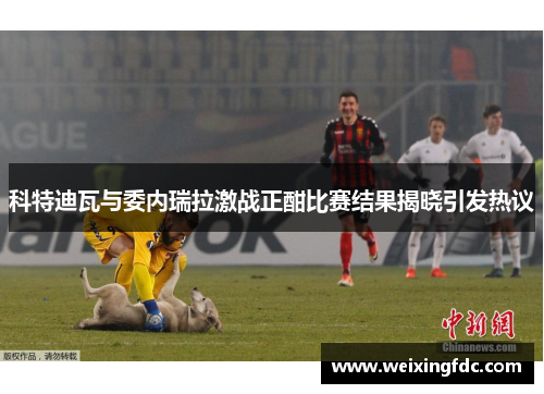 科特迪瓦与委内瑞拉激战正酣比赛结果揭晓引发热议